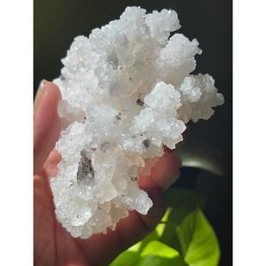 White Aragonite Cluster | Cave Calcite from Mexico